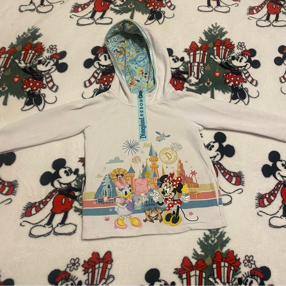Disneyland Resort 1/4 zip - Picture 2 of 6